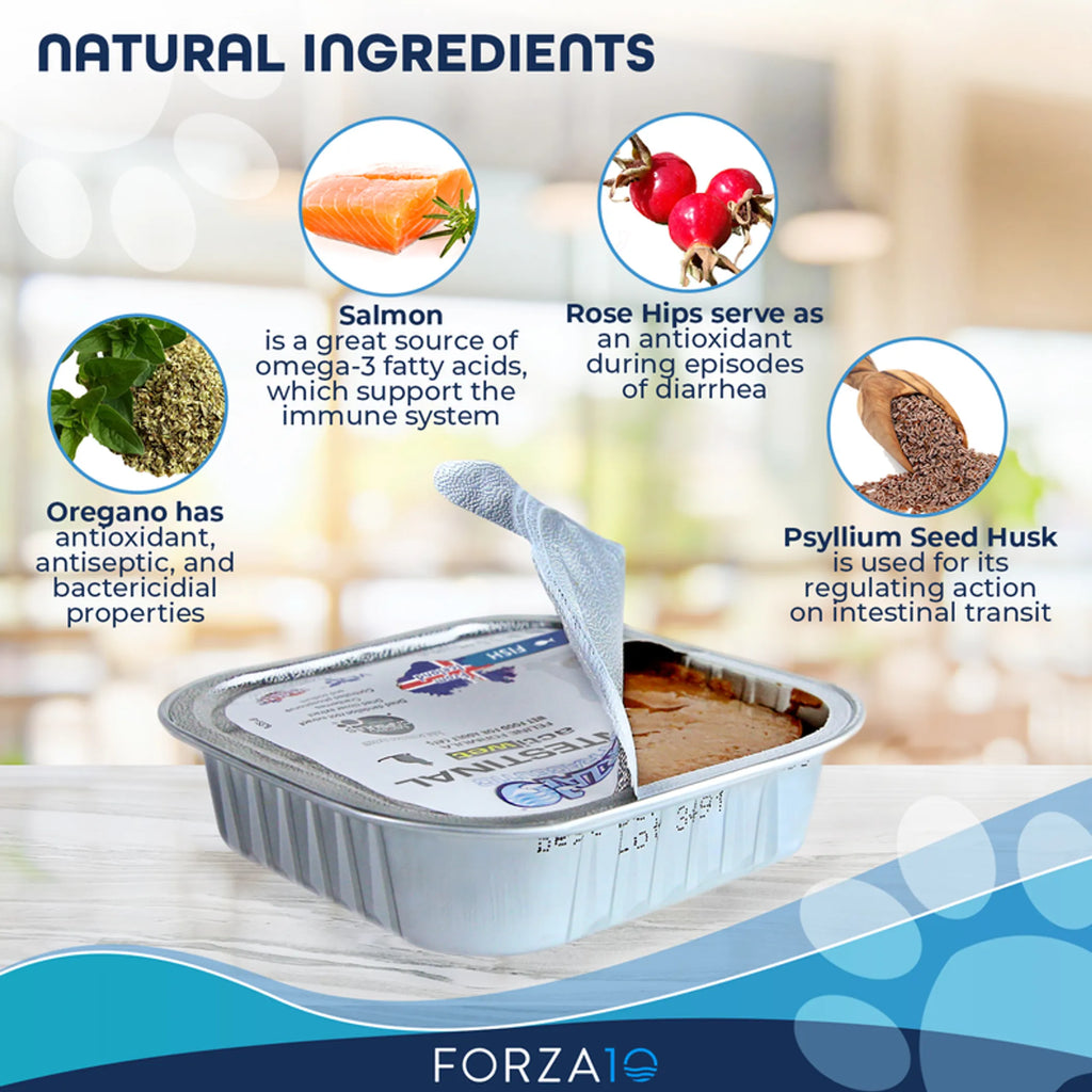 Forza10 Actiwet Intestinal Support