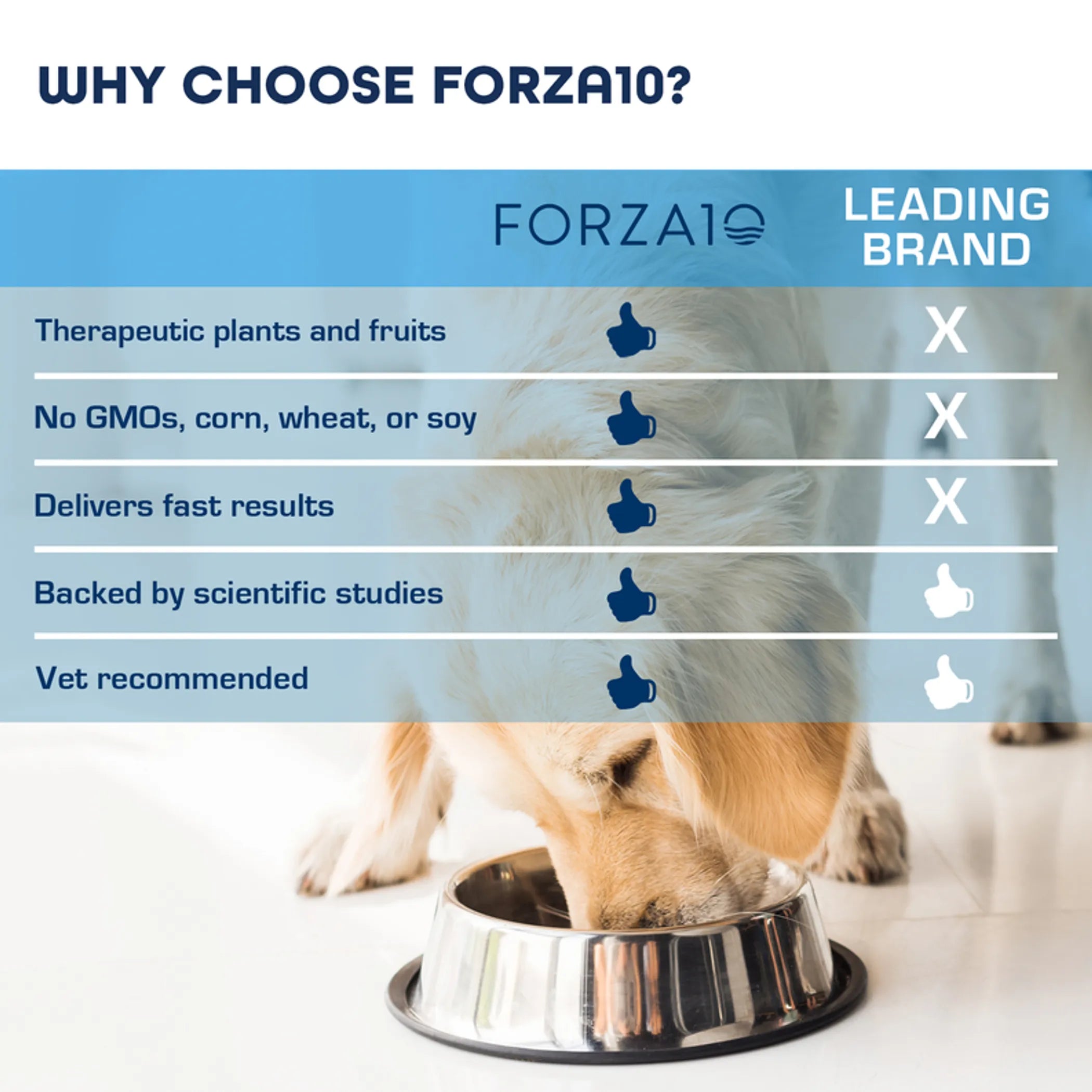 Forza10 New Zealand Grain-Free Dry Food