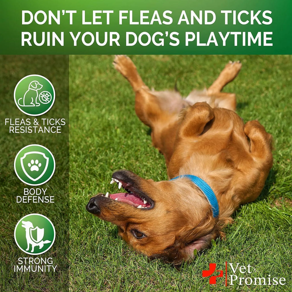 Natural Flea & Tick Support Chews